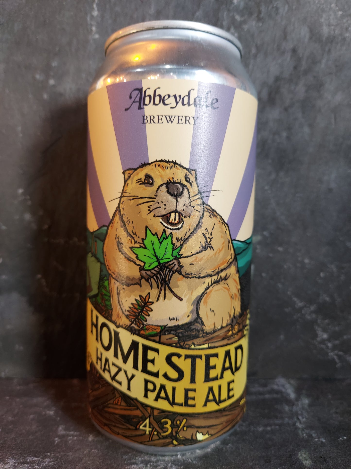 Homestead - Abbeydale