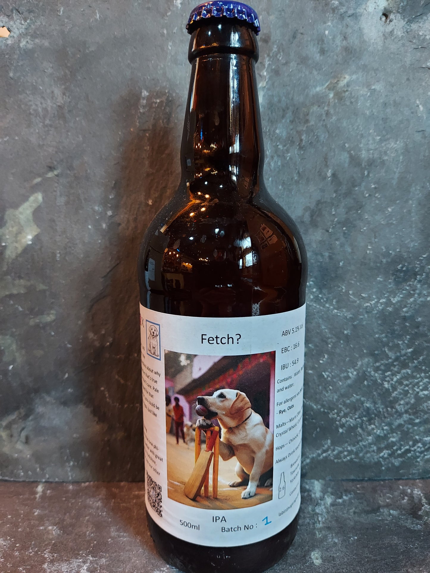 Fetch? - Lab in the Garage