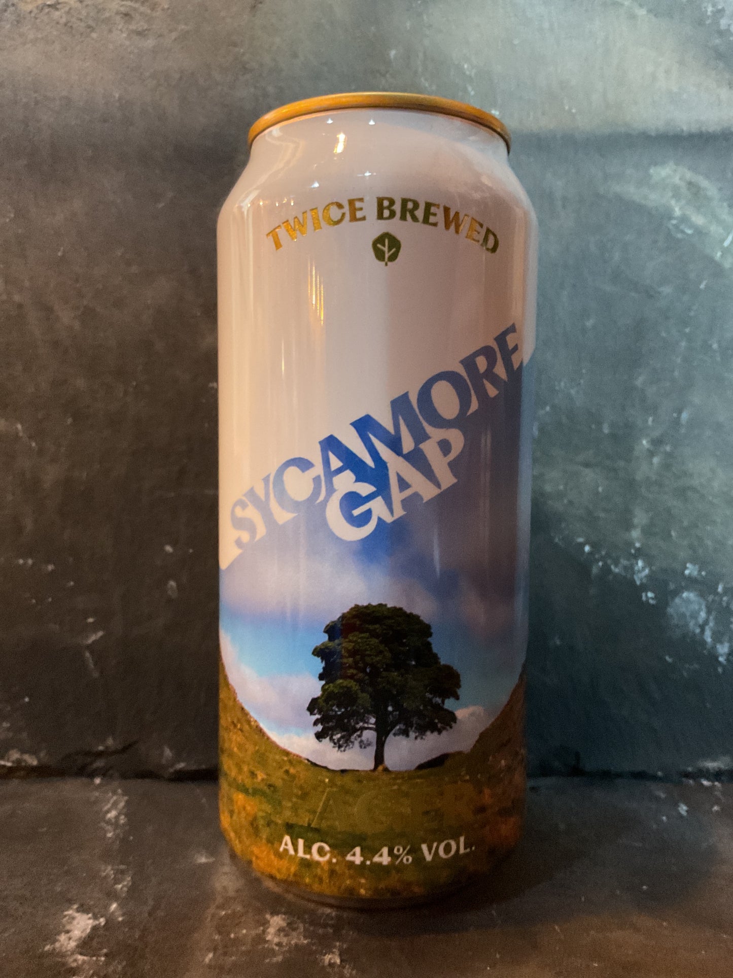 Sycamore Gap - Twice Brewed