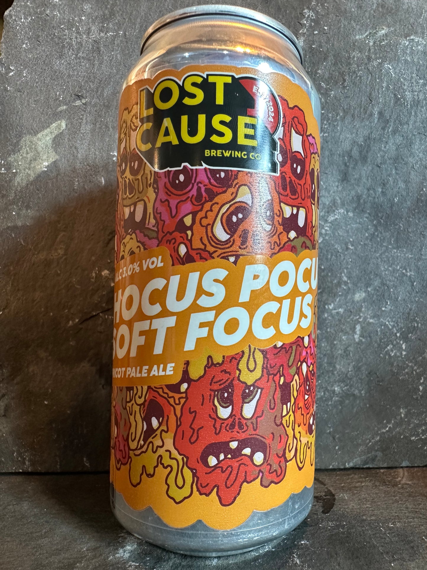 Hocus Pocus Soft Focus - Lost Cause