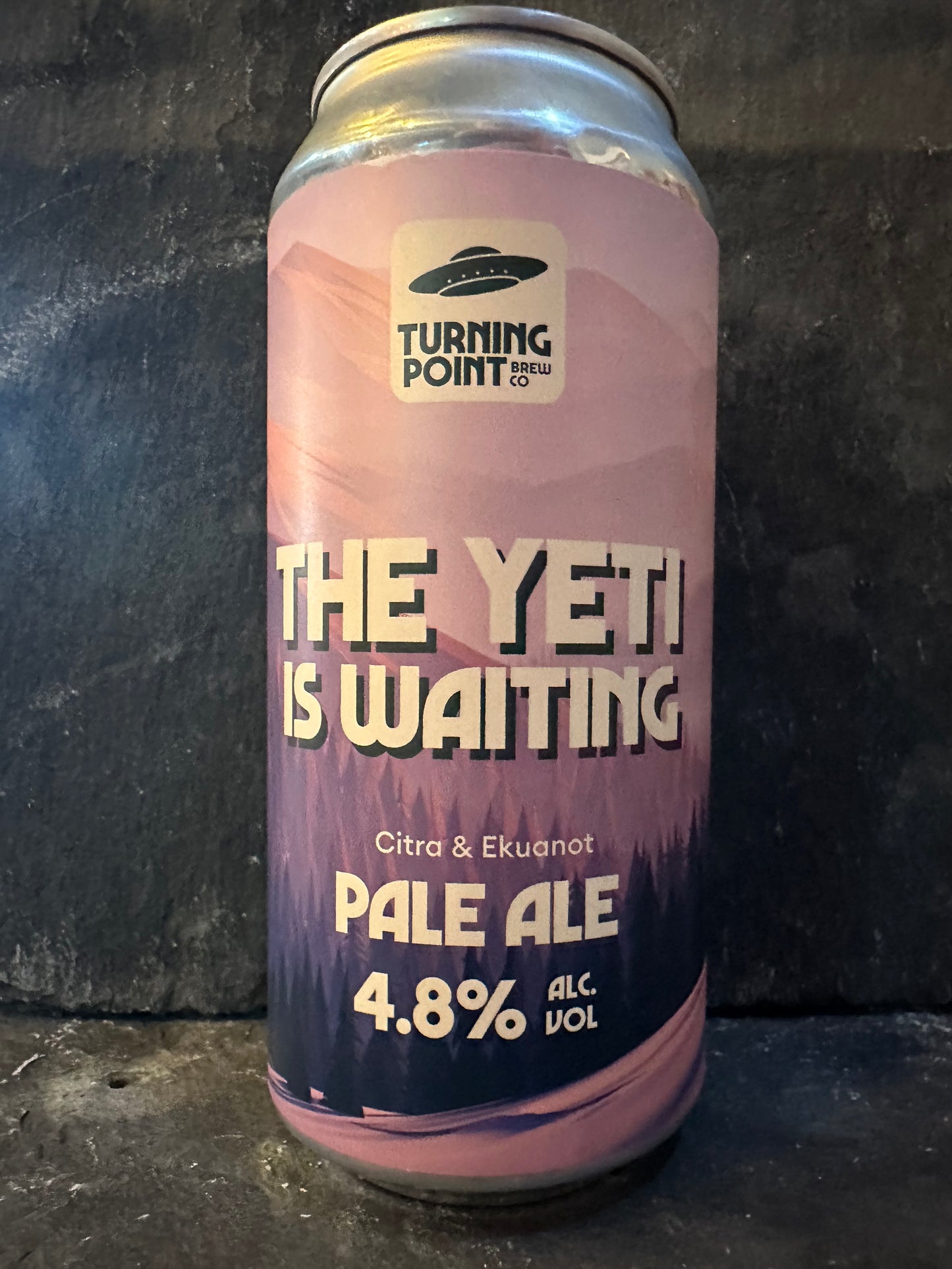 The Yeti Is Waiting - Turning Point