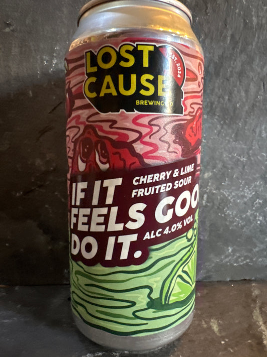 If It Feels Good, Do It - Lost Cause