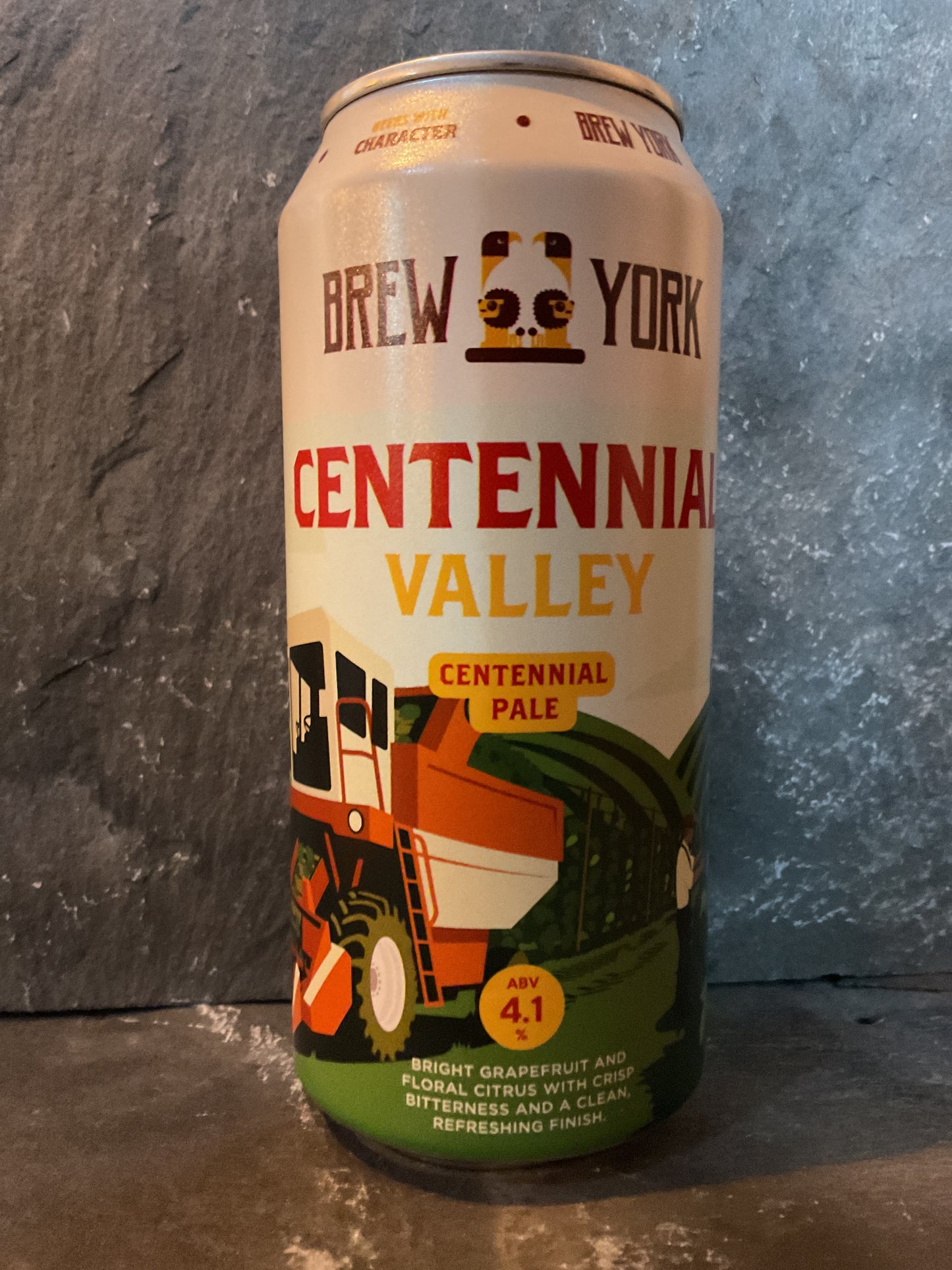 Centennial Valley - Brew York