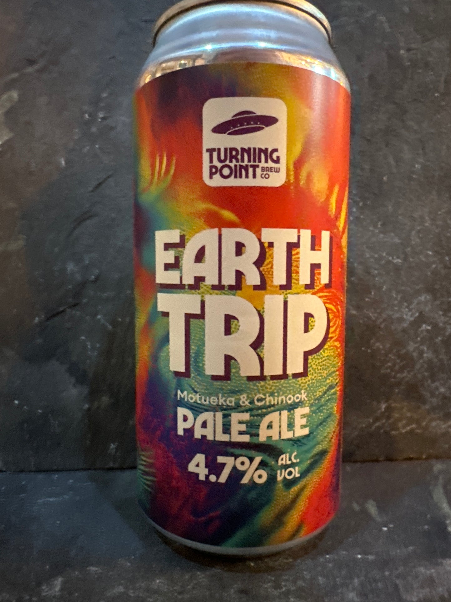 Earth trip - Turning Point