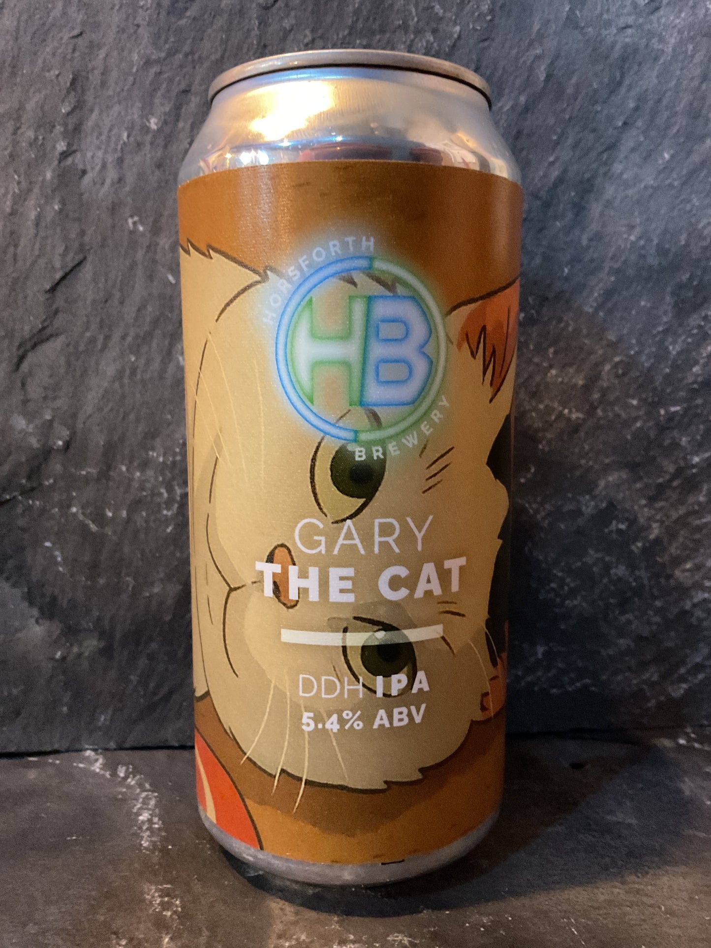 Gary the Cat - Horsforth