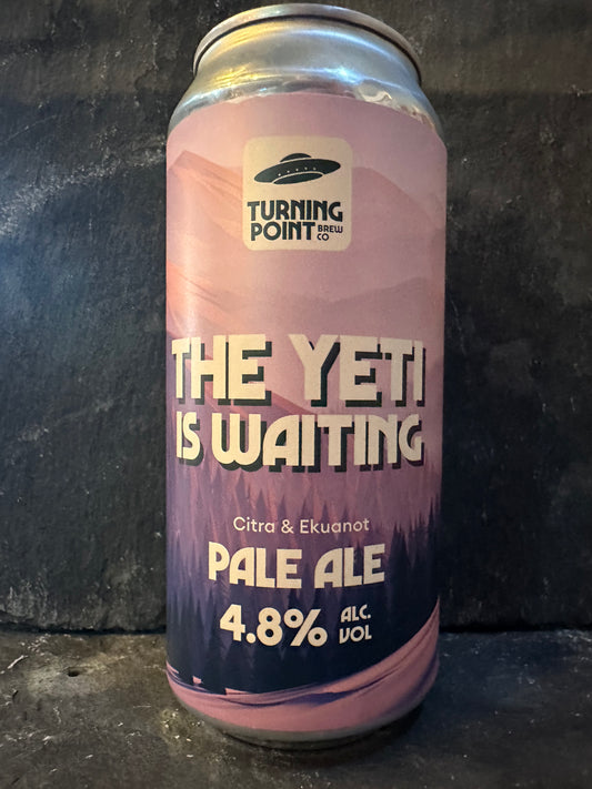 The Yeti Is Waiting - Turning Point