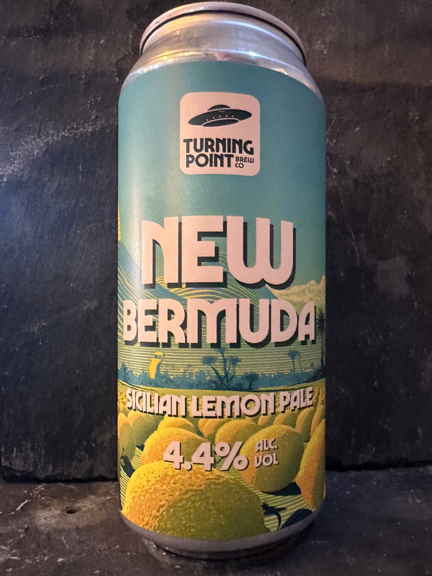 New Bermuda - Turning Point