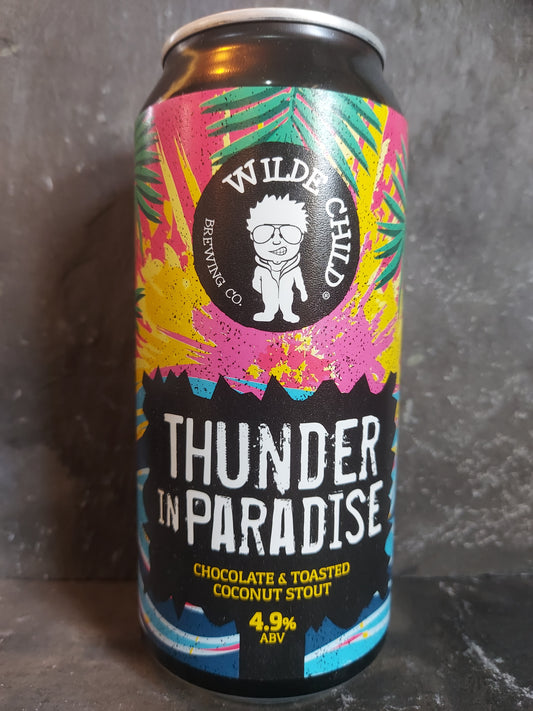 Thunder In Paradise - Wilde Child